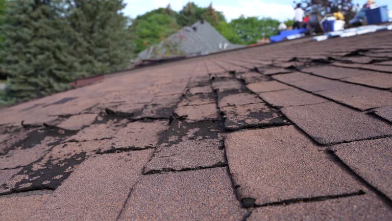 Best Gutter Installation and Repair  in West Modesto, CA