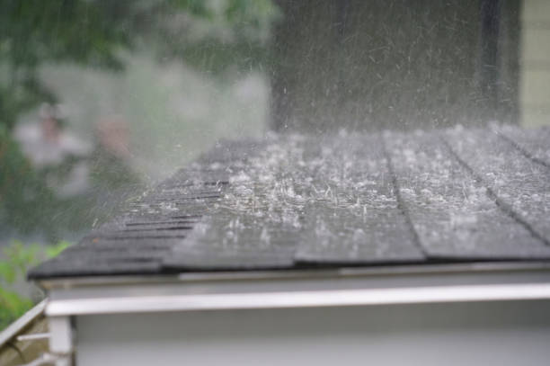 Best Roof Insulation Installation  in West Modesto, CA